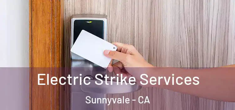  Electric Strike Services Sunnyvale - CA