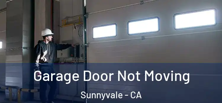  Garage Door Not Moving Sunnyvale - CA