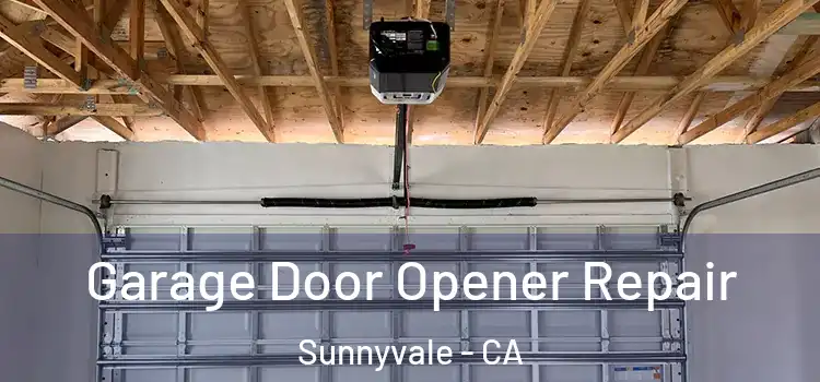  Garage Door Opener Repair Sunnyvale - CA