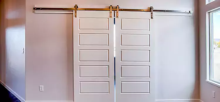 Glass Barn Door with Installation Hardware Kit Sunnyvale