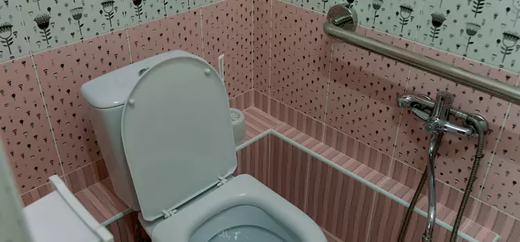 Meeting Diverse Needs With Accessible Restroom Solutions in Sunnyvale, CA